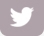 twitter_icon